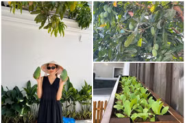 “Góc bình dân” trong dinh thự bạc tỷ của Tăng Thanh Hà 