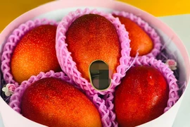 Giữa dịch Covid-19, xoài Nhật gần 2 triệu/quả nhà giàu Việt mạnh tay "chi" tiền