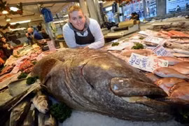 Cá mú khổng lồ nặng gần 200kg xuất hiện ở Anh