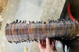 Thương lái Trung Quốc tìm mua giun sấy khô giá 1,5 triệu/kg 