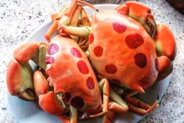 Loài cua lạ nửa triệu đồng/kg ngon cỡ nào khách tranh nhau mua?