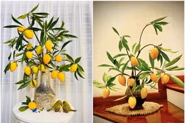 Những cành quả cắm bình gây sốt thị trường Việt 2024 