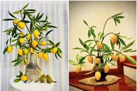 Những cành quả cắm bình gây sốt thị trường Việt 2024 