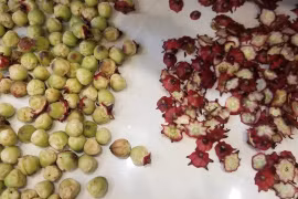 Nắng nóng uống Atiso, những người này coi chừng bị kiệt sức