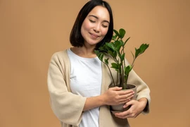 4 loại cây dành cho người mới bắt đầu trồng trong nhà 