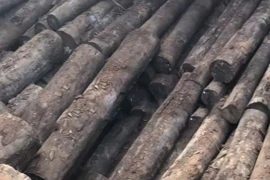 Ngã ngửa khối gỗ như củi đun giá trị ngang căn biệt thự