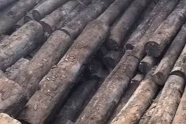 Ngã ngửa khối gỗ như củi đun giá trị ngang căn biệt thự