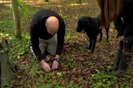 Hành trình săn lùng “kim cương đen” đắt đỏ nhất thế giới