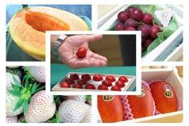 7 loại trái cây siêu đắt ở Nhật Bản chỉ có đại gia mới dám mua 