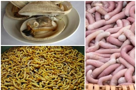 3 đặc sản ví như “thần dược phái mạnh” tiền triệu vẫn hút khách