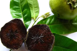 Mục sở thị hồng đen Nhật Bản giá gần 200.000 đồng/quả