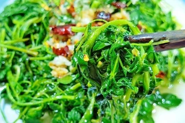 Loại rau “cỏ dại lại là vị thuốc quý, có lợi cho ngũ tạng