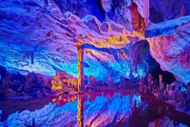 Hang động Việt Nam chứa được khu phố ở New York