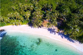 Khám phá 8 vườn quốc gia ấn tượng nhất Việt Nam 