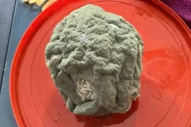 Sửng sốt quả cam mốc meo giá lên tới gần 3 triệu đồng