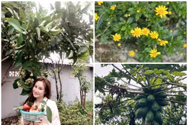 Cơ ngơi xanh mướt của Vy Oanh và chồng đại gia ở Đà Lạt