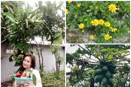 Cơ ngơi xanh mướt của Vy Oanh và chồng đại gia ở Đà Lạt