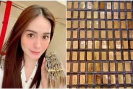 Từng đem 100 cây vàng bán chốt lời, Đoàn Di Băng giàu cỡ nào?