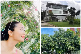 Bên trong biệt thự như resort của Ốc Thanh Vân tại Việt Nam 