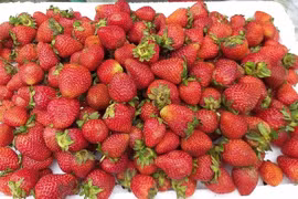 Vì sao dâu tây giá rẻ tràn ngập chợ?