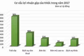 Sau “quả ngọt” U23, bầu Đức đón tin vui từ kết quả kinh doanh