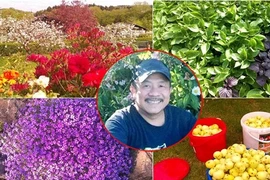 "Vườn địa đàng" đẹp như mơ chẳng thiếu cây gì của ông bố Việt ở Đức