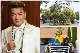 Đàm Vĩnh Hưng giàu cỡ nào trước khi bị lừa 200 triệu?