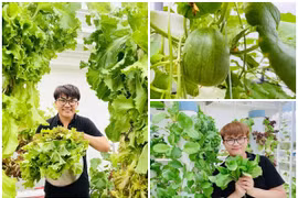 Biệt thự sân vườn triệu đô của “MC giàu nhất Việt Nam” 