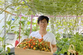 Vườn rau sạch phủ kín sân thượng của ông bố trẻ ở Sài Gòn 