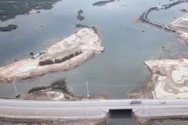 Bãi tập kết cát trái phép lấn 7.000m2 rừng ngập mặn Quảng Ninh