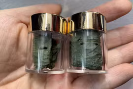 Bí mật loại lá khô đắt nhất Việt Nam, cả trăm triệu/kg