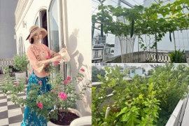 Hoa hậu Giáng My khoe khu vườn ngập hoa trái trong nhà