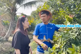 Bên trong khu vườn có nhiều cây ăn trái của Tiết Cương