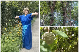 Lạc lối trong khu vườn trĩu quả “vạn người mê” của NSND Thanh Hoa 