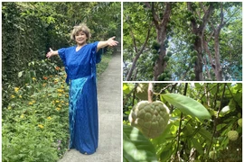 Lạc lối trong khu vườn trĩu quả “vạn người mê” của NSND Thanh Hoa 