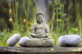 Bạn lương thiện nhưng vẫn bị bắt nạt thì cần mượn 'tứ năng' này 