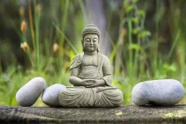 Bạn lương thiện nhưng vẫn bị bắt nạt thì cần mượn 'tứ năng' này 