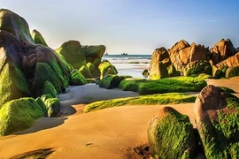 Phượt Cổ Thạch hai ngày mùa rêu đá