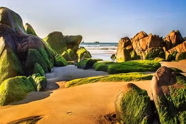 Phượt Cổ Thạch hai ngày mùa rêu đá