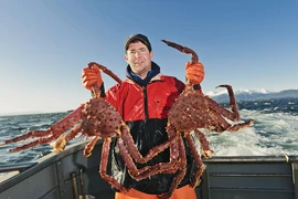 Tận mục nghề bắt cua hoàng đế kiếm 2 tỷ trong vài ngày