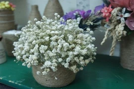 3 quy tắc chuẩn trang trí nhà năm mới để tránh gặp nạn