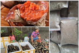 Kỳ lạ những cua giá rẻ "bất thường" bán tràn lan chợ mạng, vỉa hè