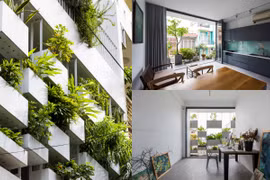 Dù hướng Tây nhưng căn nhà này luôn mát mẻ vì cây xanh phủ kín mặt tiền 