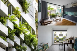 Dù hướng Tây nhưng căn nhà này luôn mát mẻ vì cây xanh phủ kín mặt tiền 