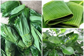 3 loại lá rụng đầy vườn ở Việt Nam, ra nước ngoài “đắt như vàng“