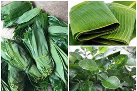 3 loại lá rụng đầy vườn ở Việt Nam, ra nước ngoài “đắt như vàng“