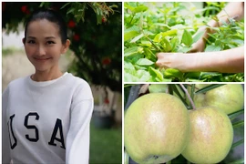 Cơ ngơi rộng rãi ngập rau trái của “em gái Hà Tăng” tại Mỹ