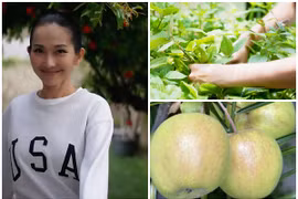 Cơ ngơi rộng rãi ngập rau trái của “em gái Hà Tăng” tại Mỹ