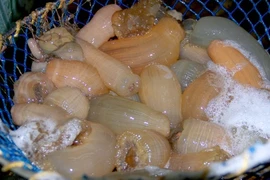 Đặc sản nào ví như “thần dược” mà cháy hàng dịp Tết?