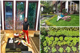 Tò mò biệt thự 125 tỷ của Đàm Vĩnh Hưng vừa bị rao bán 